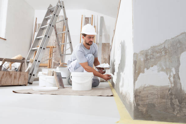 Best Air Quality Testing for Mold Spores  in Minturn, CO