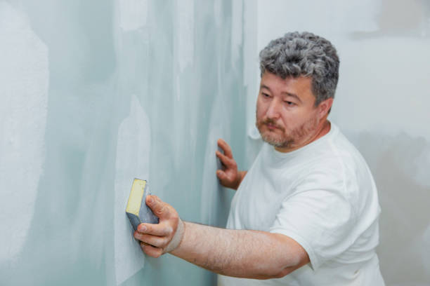 Best Water Damage & Mold Remediation  in Minturn, CO