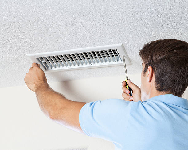 Best Emergency Mold Remediation  in Minturn, CO