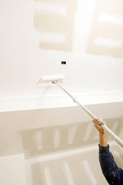 Best Biohazard Mold Removal  in Minturn, CO