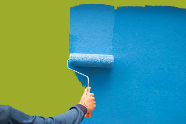 Best Mold Prevention Services  in Minturn, CO